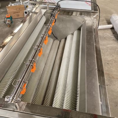 500kg/hにんじんのウールのrolleの皮をむく機械泡洗濯機の野菜およびフルーツのクリーニング機械野菜の加工ライン